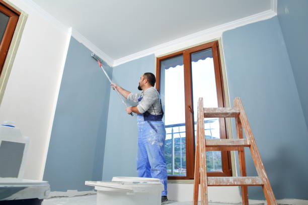Biohazard Mold Removal in Valley View, PA