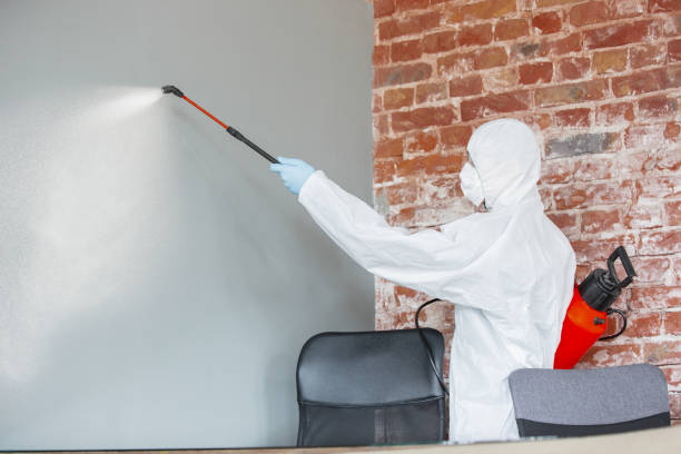 Best Airborne Mold Testing  in Valley View, PA