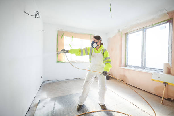 Best Mold Remediation for Vacation Homes  in Valley View, PA