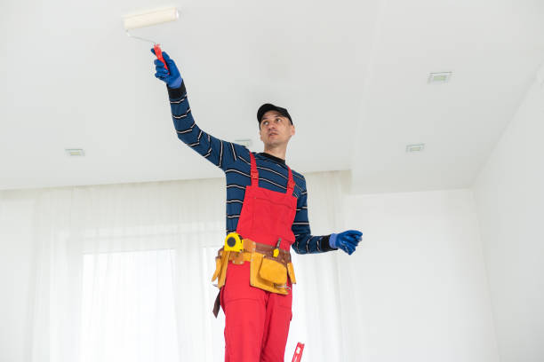 Best Mold Prevention Services  in Valley View, PA