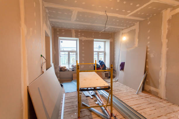 Best Mold Documentation for Insurance Claims  in Valley View, PA