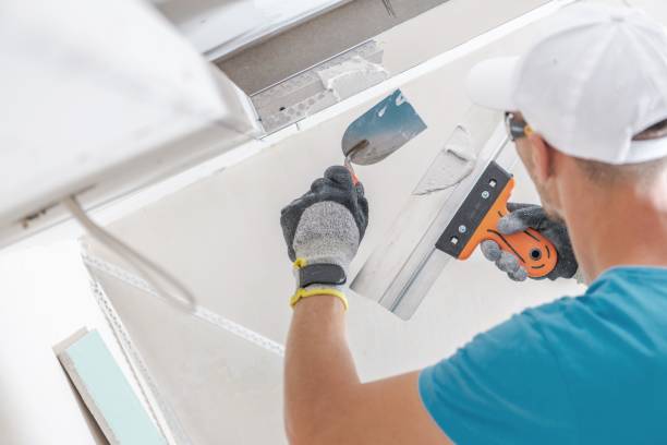 Best Crawl Space Mold Remediation  in Valley View, PA